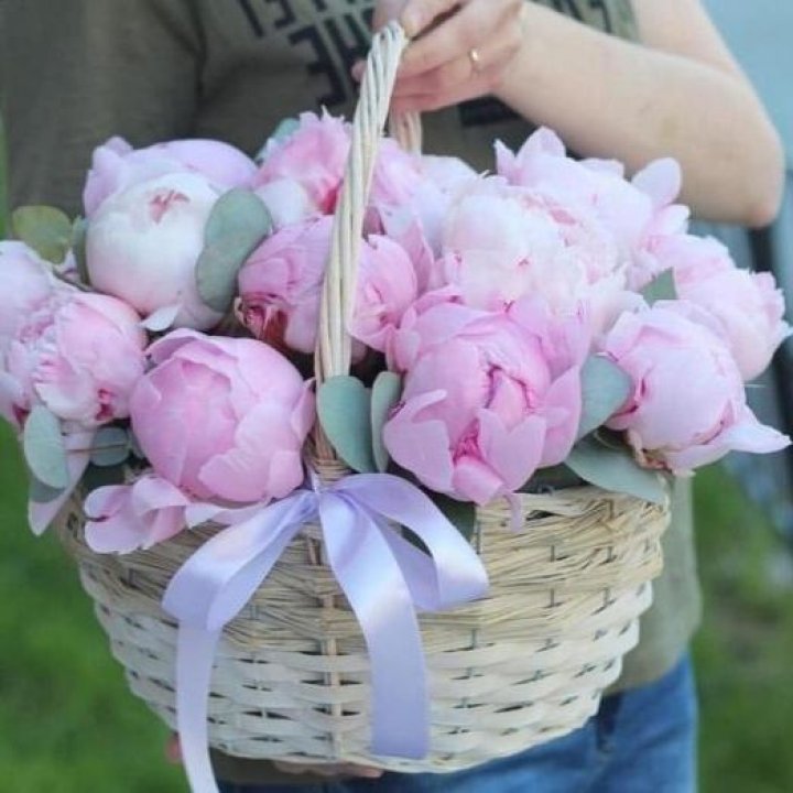 15 пионов в корзине в Твери