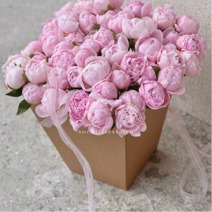 49 пионов в крафт коробке в Твери