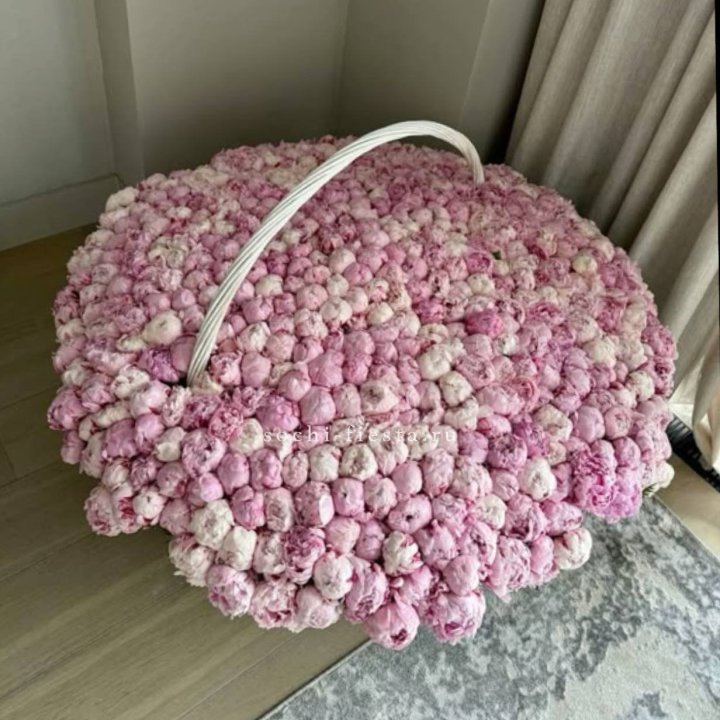 Корзина 555 пионов в Твери