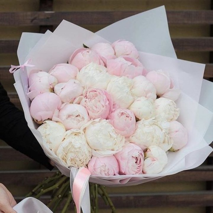 29 пионов в Твери