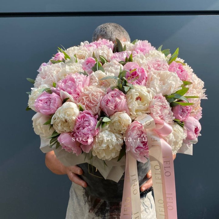 51 пионов в боксе в Твери