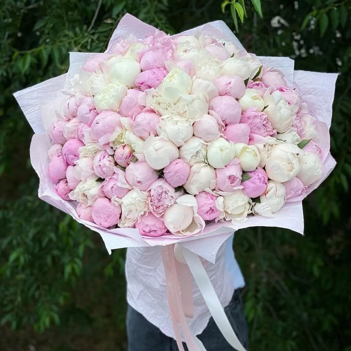 101 пион в Твери