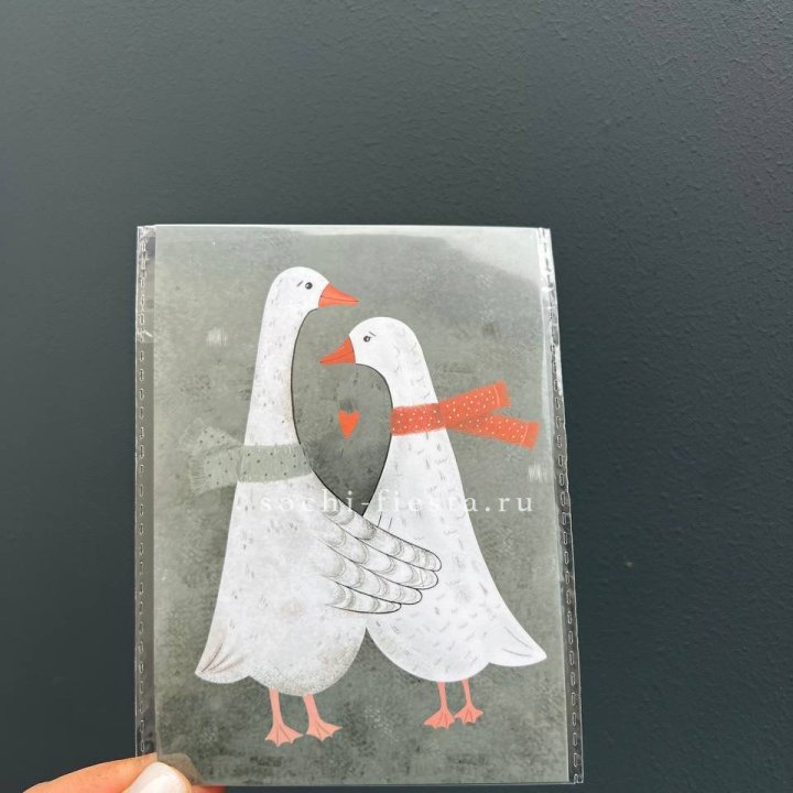 Открытка к букету "Гуси” в Твери