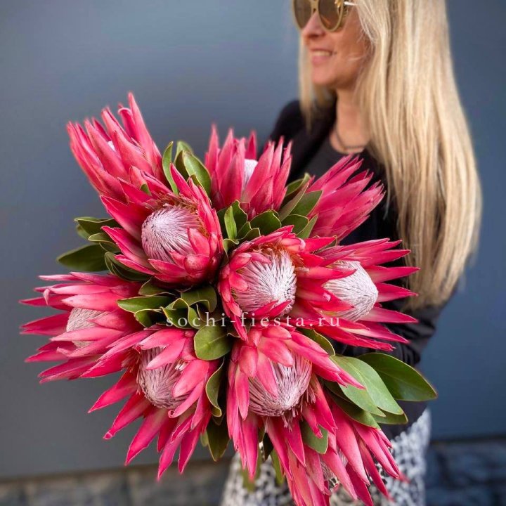 Протея штучно в Твери