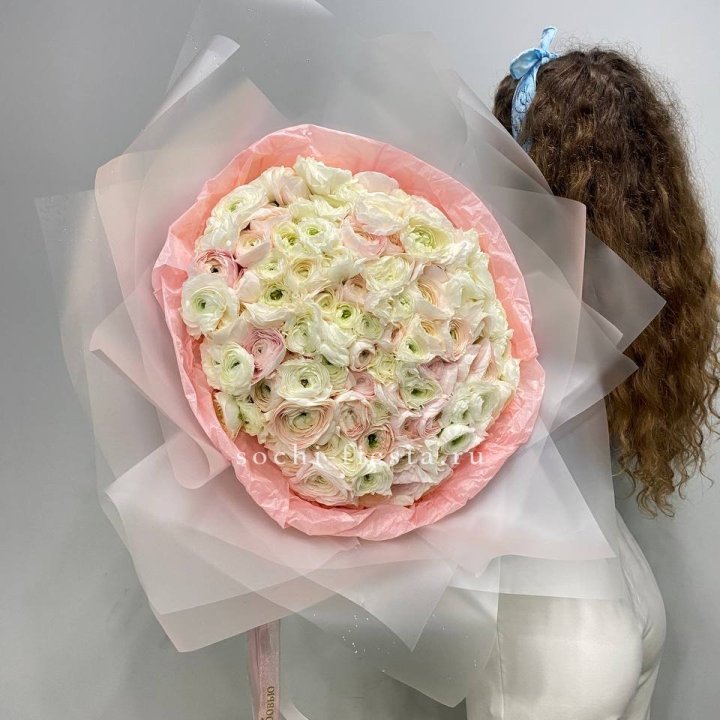 113 ранункулюсов  в Твери