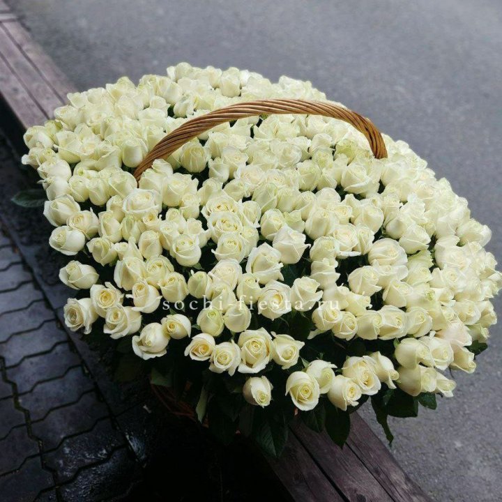 303 розы в корзине в Твери