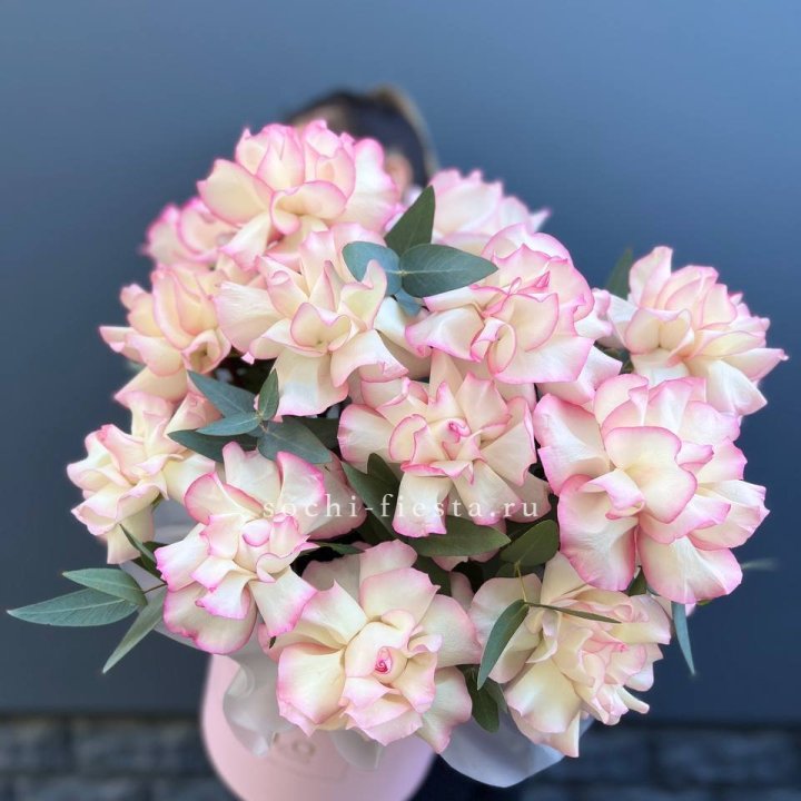 15 Французских роз Джумилия в боксе в Твери