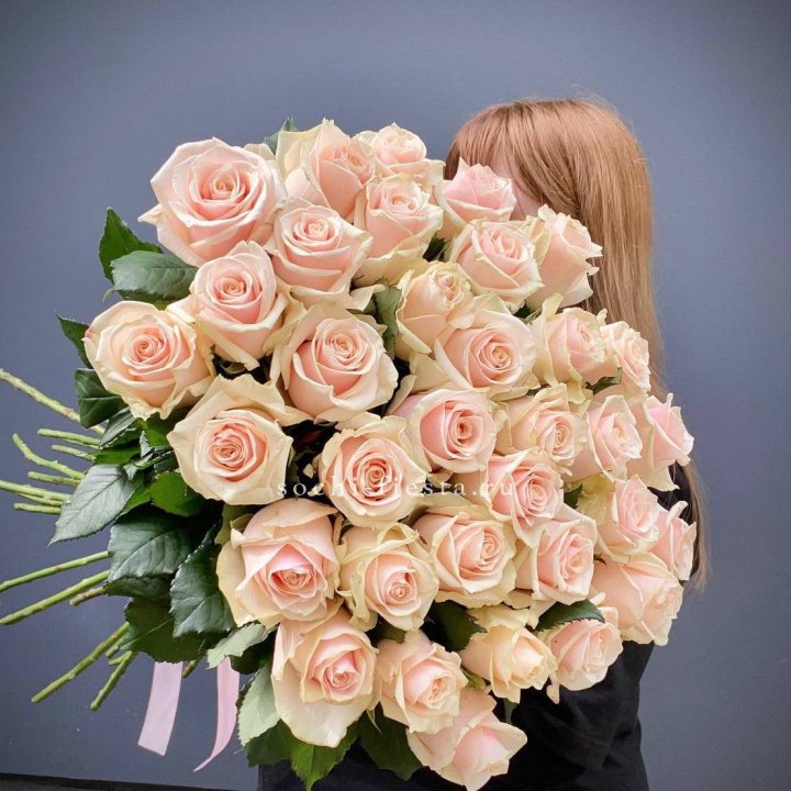 35 кремовых высоких роз в Твери