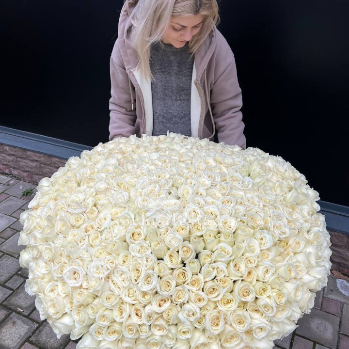 501 белая роза в корзине в Твери