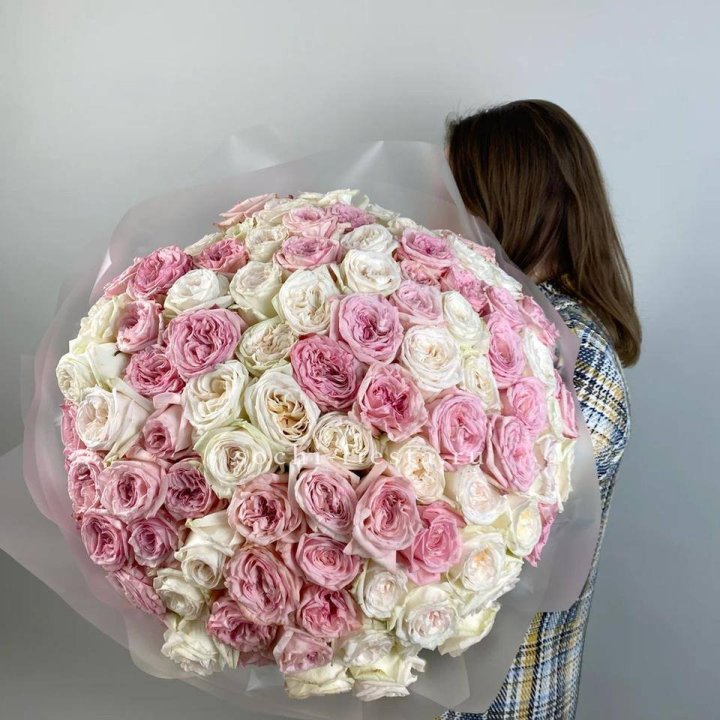 101 роз Охара в Твери