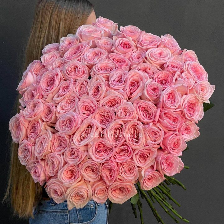 75 роз Охара в Твери