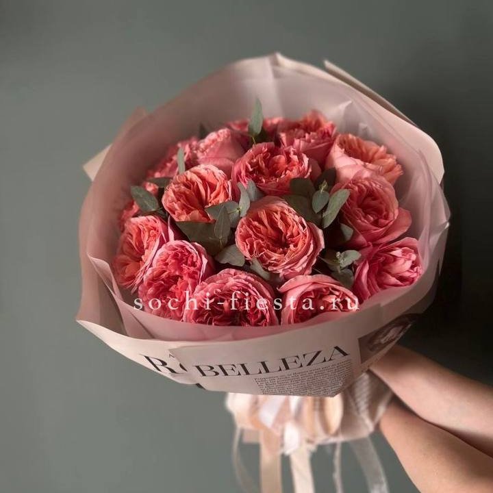 15 Пинк экспрешен в Твери