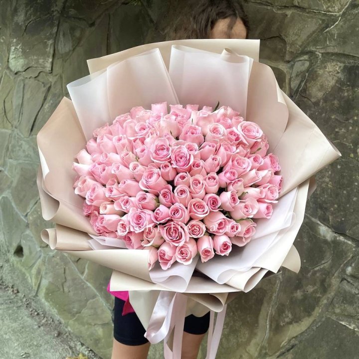 101 нежно-розовая роза Каролина  в Твери