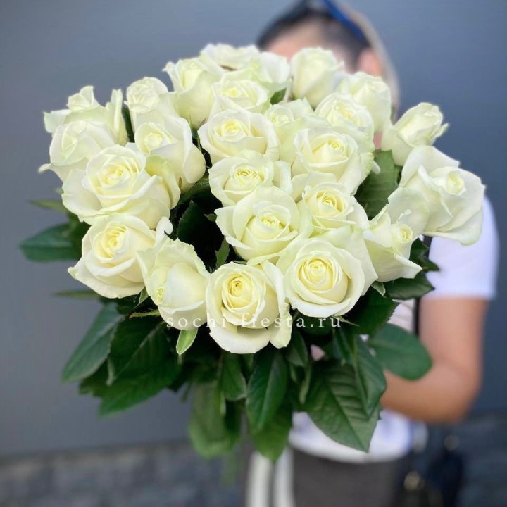 Голландские розы белые 25 в Твери