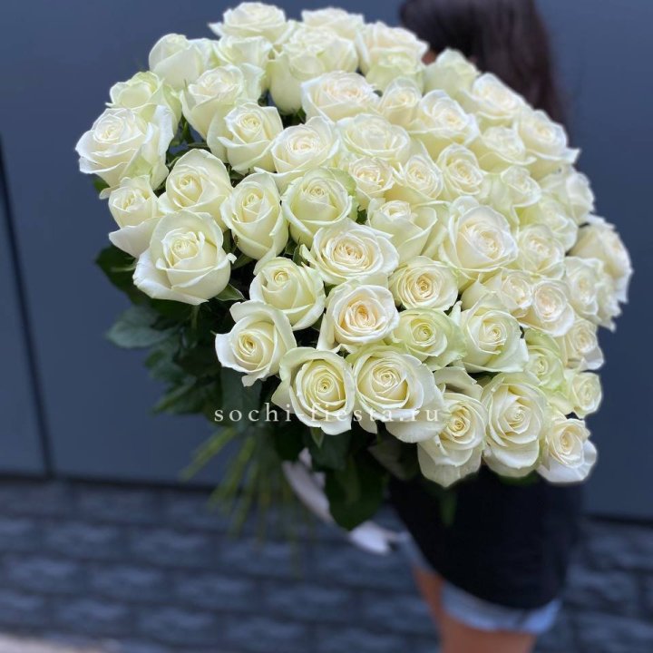51 белоснежная высокая роза в Твери