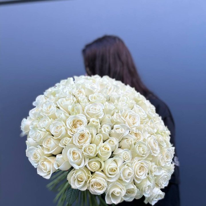 Охапка из 101 белой розы  в Твери