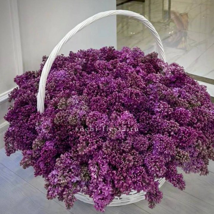 Корзина сирени в Твери