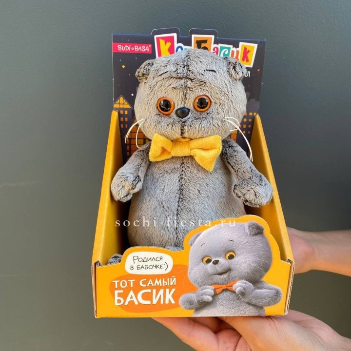 Кот Басик с бабочкой в Твери