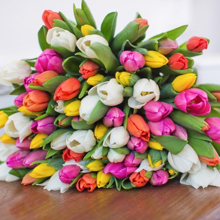 79 тюльпанов "Рандом" в Твери
