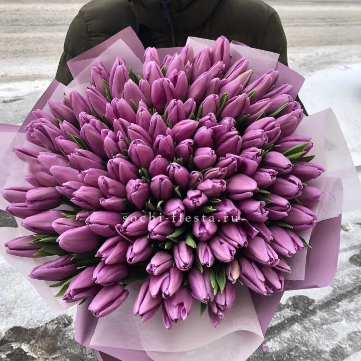 101 сиреневый тюльпан в Твери