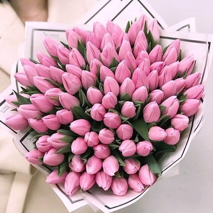 101 розовый тюльпан в белом в Твери