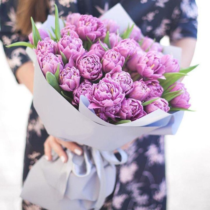 Тюльпаны "Пионс" в Твери