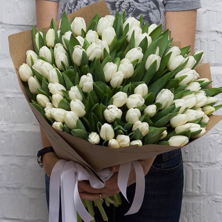 101 тюльпан сноу в Твери