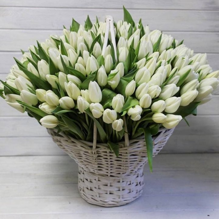 Корзина из 151 тюльпана в Твери